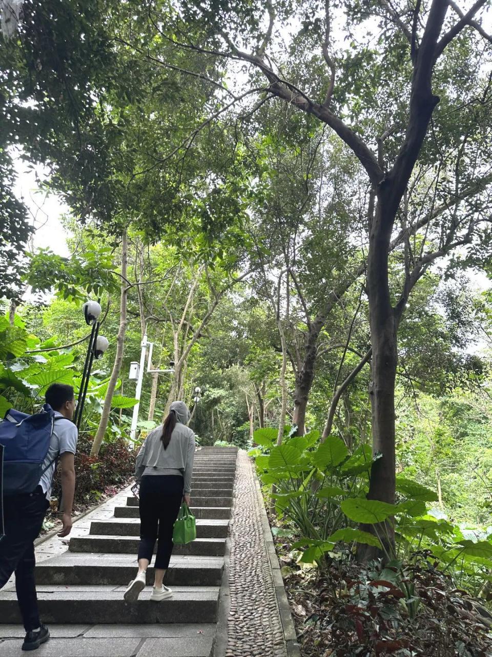 巖星之聲|巖星科建黨支部赴蓮花山開展主題黨日活動(dòng)插圖(2) 圖片